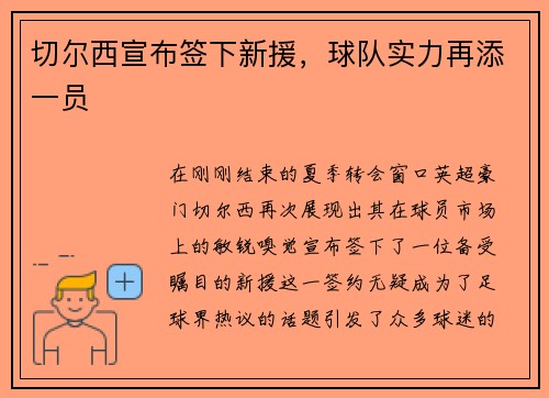 切尔西宣布签下新援，球队实力再添一员